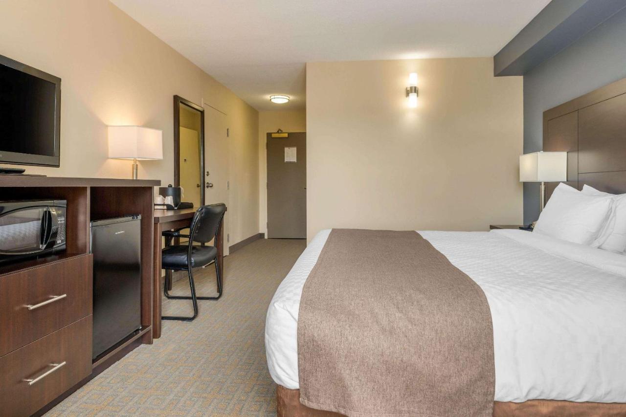 Quality Inn & Suites Bathurst Kültér fotó